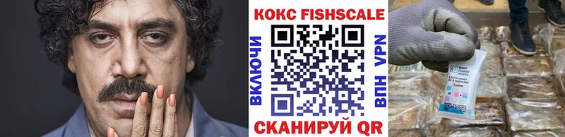 КОКАИН Fish Scale  Сегежа 
