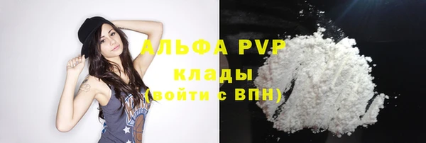 бошки Белокуриха