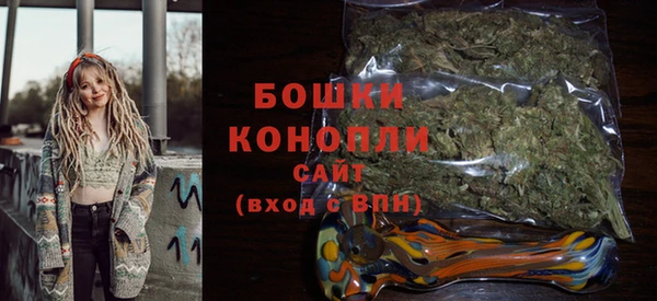 бошки Белокуриха